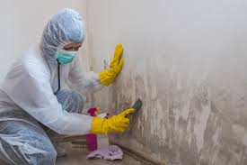 Best Water Damage & Mold Remediation  in Sparta, IL